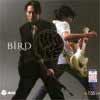 bird.jpg